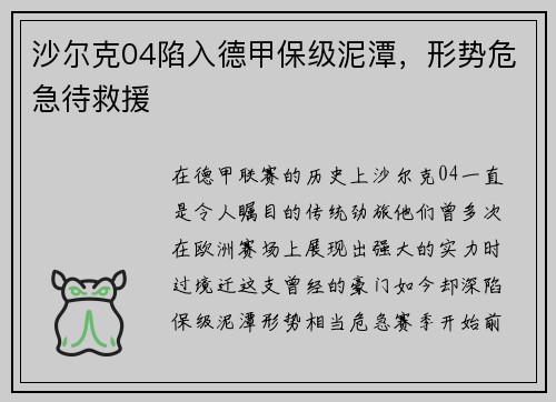 沙尔克04陷入德甲保级泥潭，形势危急待救援
